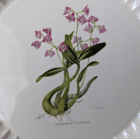 Victoria & Albert Museum Dendrobium Kingianum Pink Floral Pierced Rim Plate - Picture 5 of 8